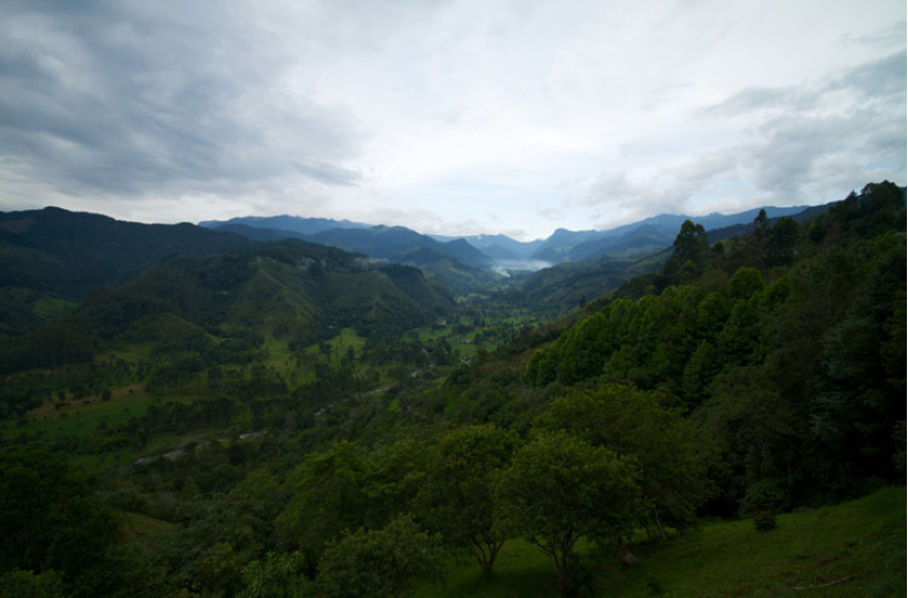 Как погода в Колумбии влияет на кофейную индустрию