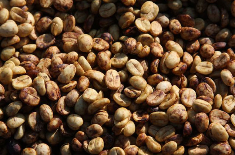 Хани или натуральная — какая обработка «вкуснее»