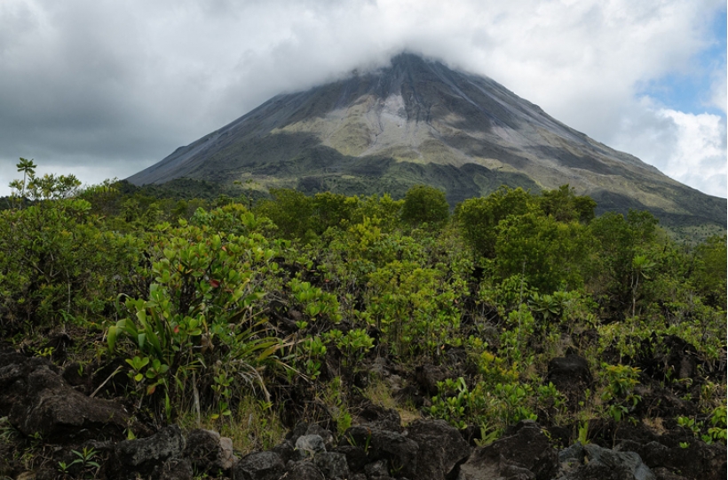 Выращивание кофе на склонах действующих вулканов