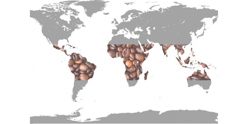Кофейный пояс Земли и перспективы выращивания кофе за его пределами
