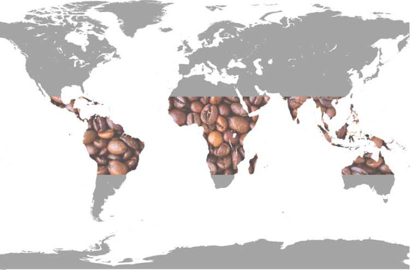 Кофейный пояс Земли и перспективы выращивания кофе за его пределами