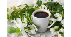 Весна уже близко: Пробудись с новой чашкой вдохновения