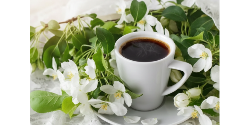 Весна уже близко: Пробудись с новой чашкой вдохновения