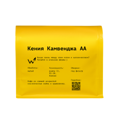 Кения Камвенджа АА