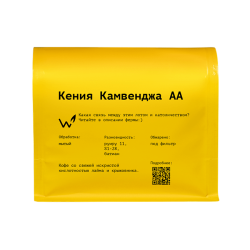 Кения Камвенджа АА