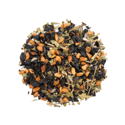 Шиповник с ягодами